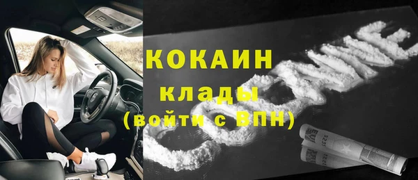 прущие грибы Балахна