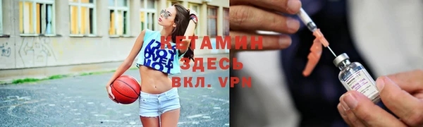 прущие грибы Балахна