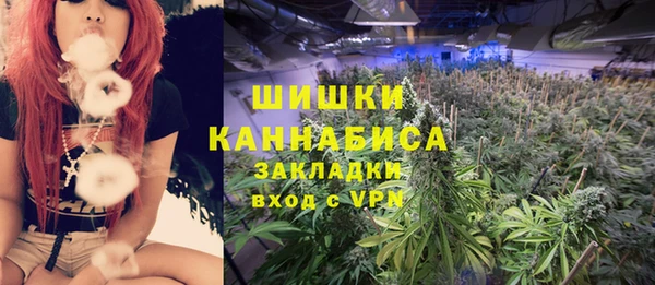 молекула духа Краснослободск