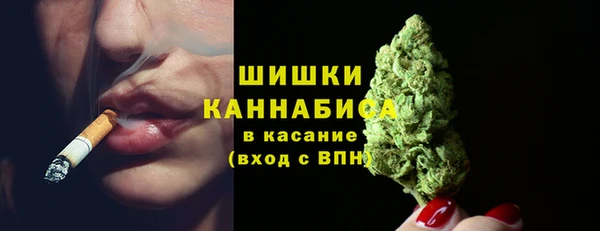 прущие грибы Балахна