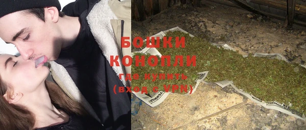 прущие грибы Балахна