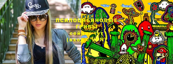 прущие грибы Балахна