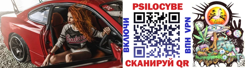 Псилоцибиновые грибы мицелий  Унеча 